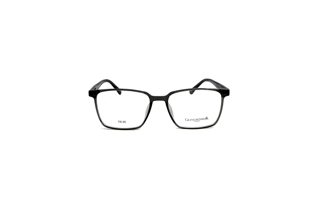 GRAND MONSIEUR 541 GRAY/TRANSPARENT