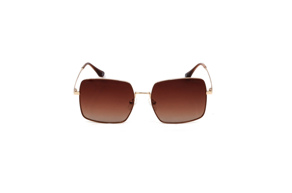 GLAMOUR ANTISOLAR 005 BROWN